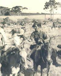 Tropeiros - Foto de tropeiros em Ponta Grossa no in�cio do s�culo XX, onde destaca-se a vegeta��o t�pica da regi�o dos Campos Gerais. (clique para ampliar)