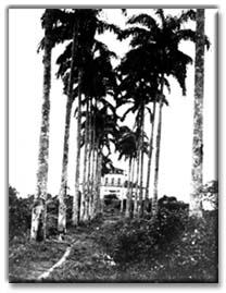 Foto da Fazenda S�o Bernadino
